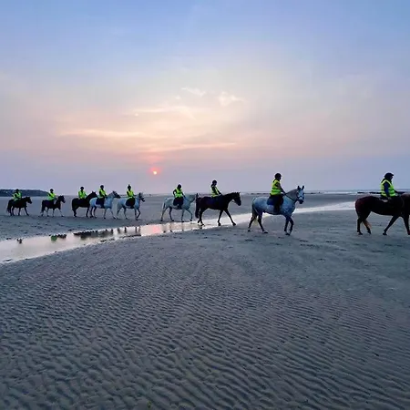 Le Big Family - Le Mont De La Louve