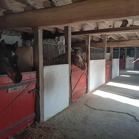 Le Big Family - Le Mont De La Louve * Bazinghen