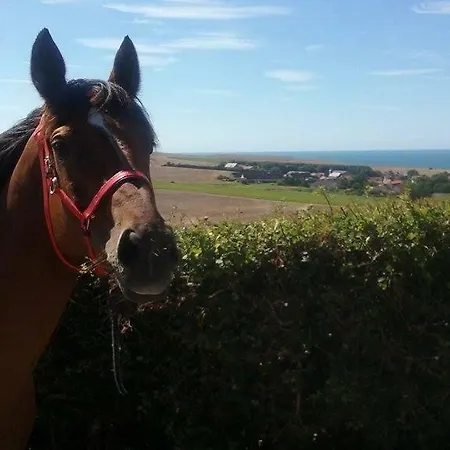 Hébergement de vacances Du Mont De La Louve